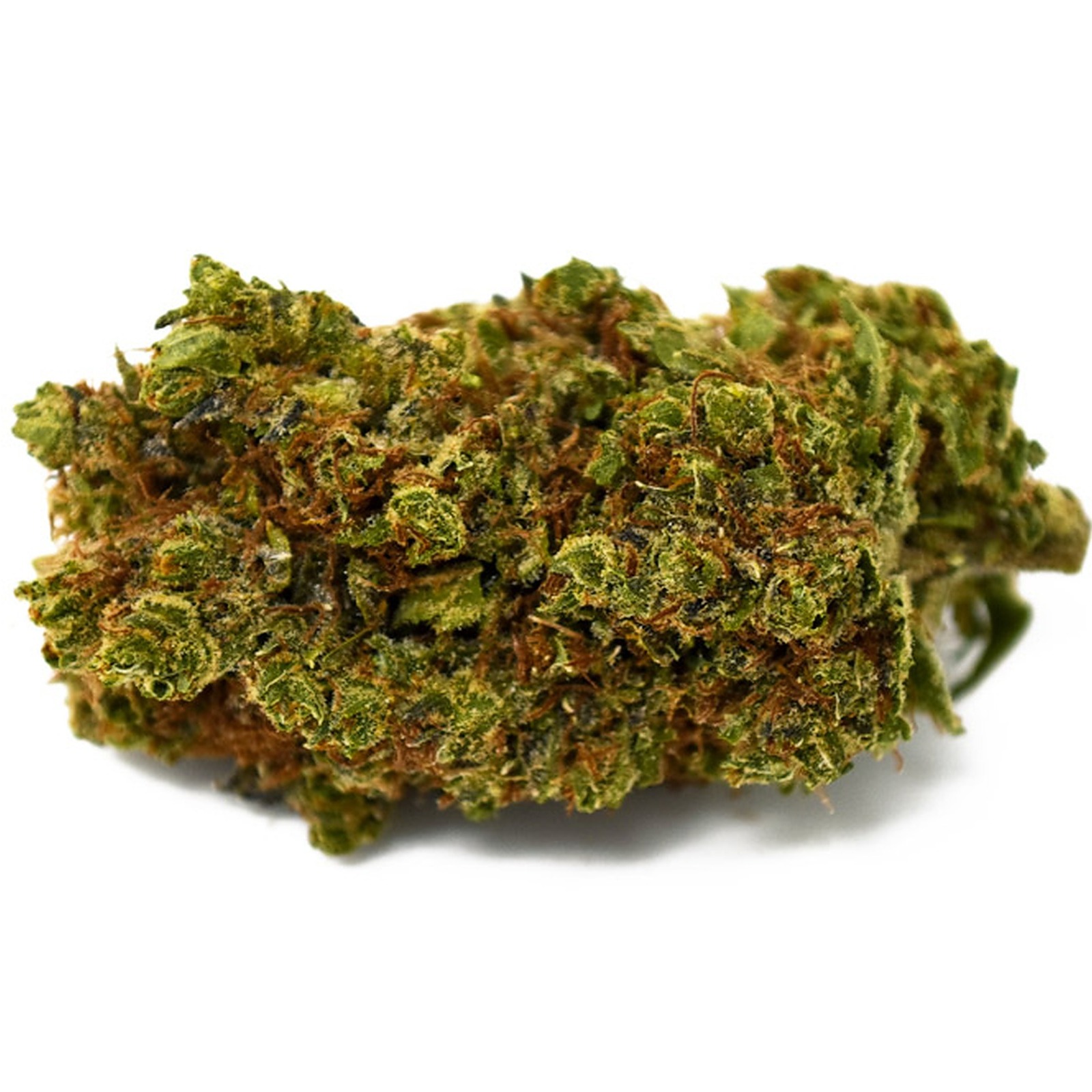 Stardawg (25% THCa)